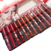 12 Shade Pack Shiny Gosh Lipgloss Pack Of 12, For Enhance Your Beauty Look