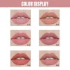 Dragon Ranee 6 Pieces Velvet Matte Pink Lipstick Set | Long Lasting Makeup Waterproof Lip Gloss For Girls & Womens
