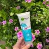3 In 1 Garnier Skin Natural Pure Active Wash + Scrub + Mask